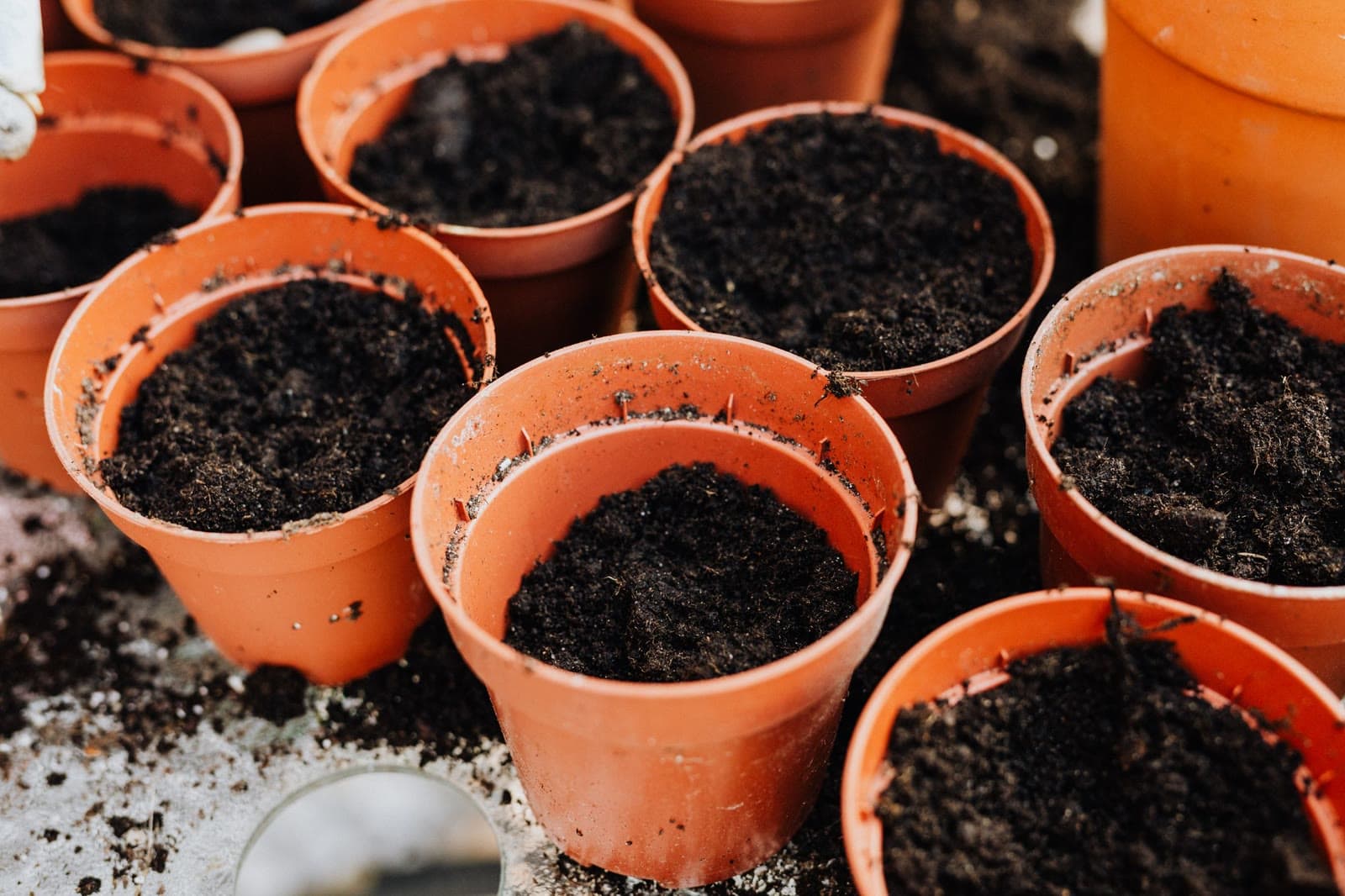 Potten gevuld met verse potgrond